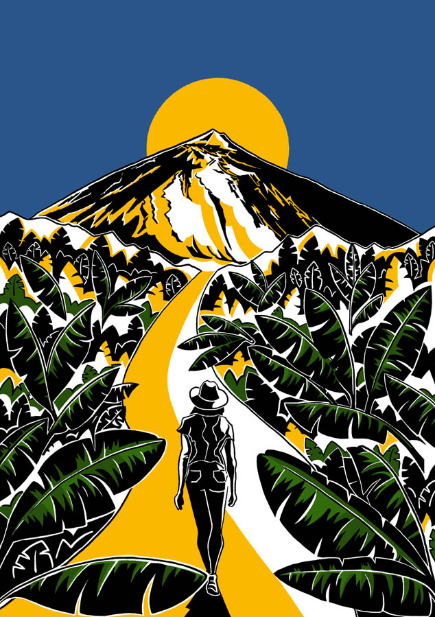 The Banana Road book cover