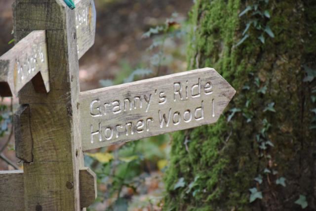 Directional signpost