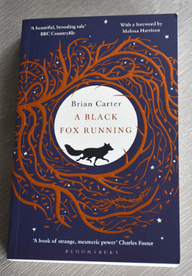 A Black Fox Running by Brian Carter