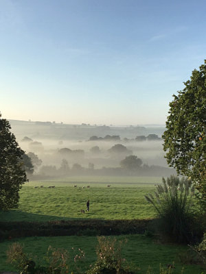 Resurrecting my creativity